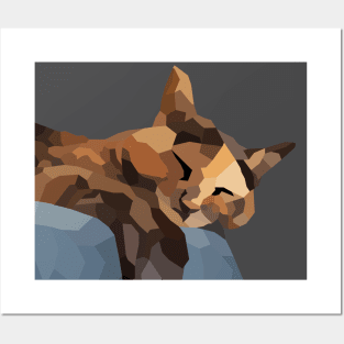 Tortie Low Poly Posters and Art